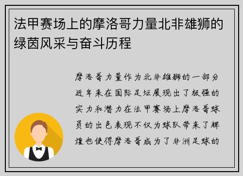 法甲赛场上的摩洛哥力量北非雄狮的绿茵风采与奋斗历程