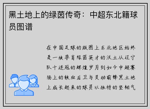 黑土地上的绿茵传奇：中超东北籍球员图谱